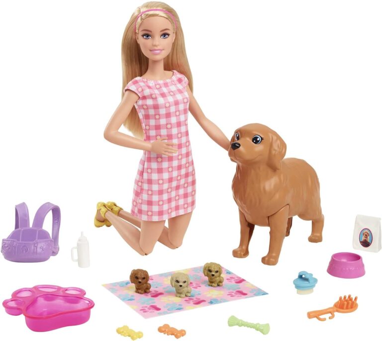 Barbie Doll and Pets Playset Review